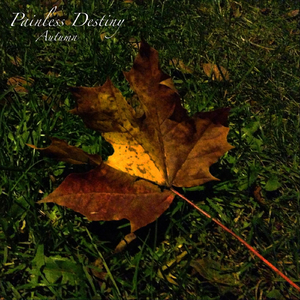 操东北老熟女视频
